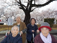 春らんらん　桜見ドライブ