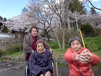 わきあいあい　一年ぶりの桜