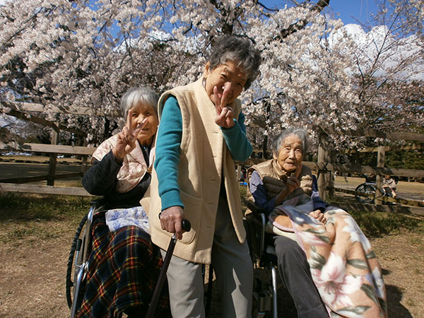 菜摘荘　春のお花見ドライブ