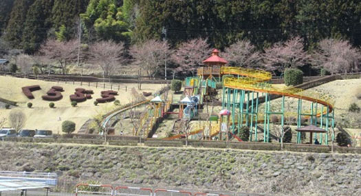 涼風の家　公園の桜ほぼ独占？1