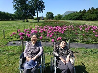 わきあいあい　母の日とぼたん寺