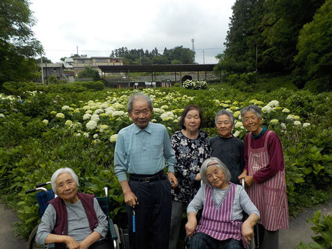 星辰の家　紫陽花ツアーに出かけよう！