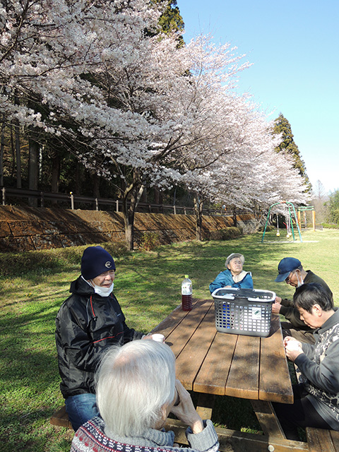 涼風の家 満開の桜独り占め1