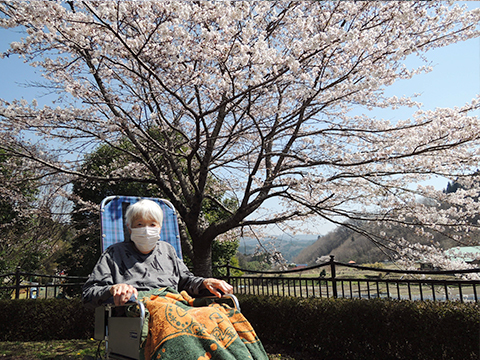 涼風の家 満開の桜独り占め2