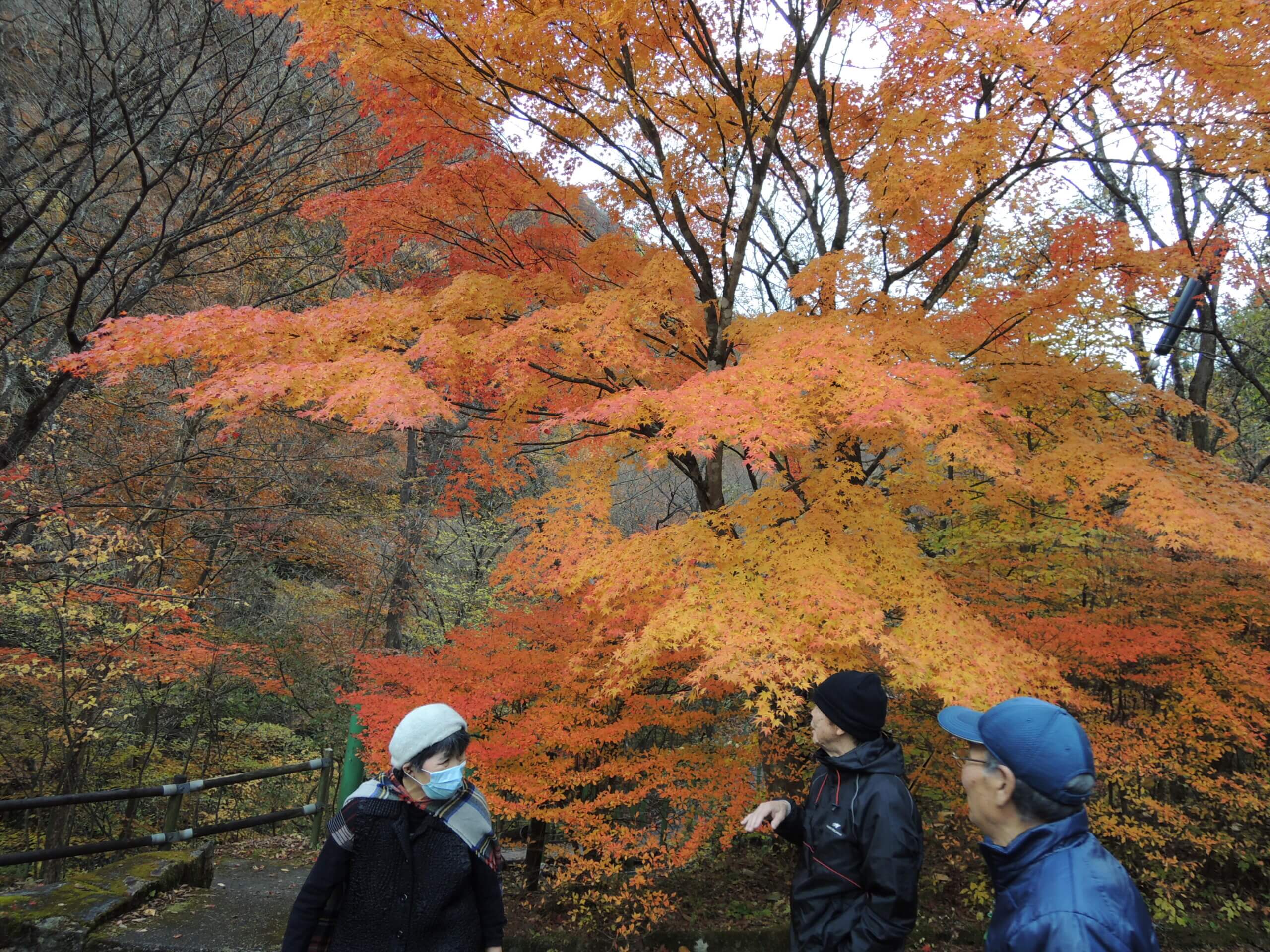 涼風の家　倉渕の紅葉ドライブ