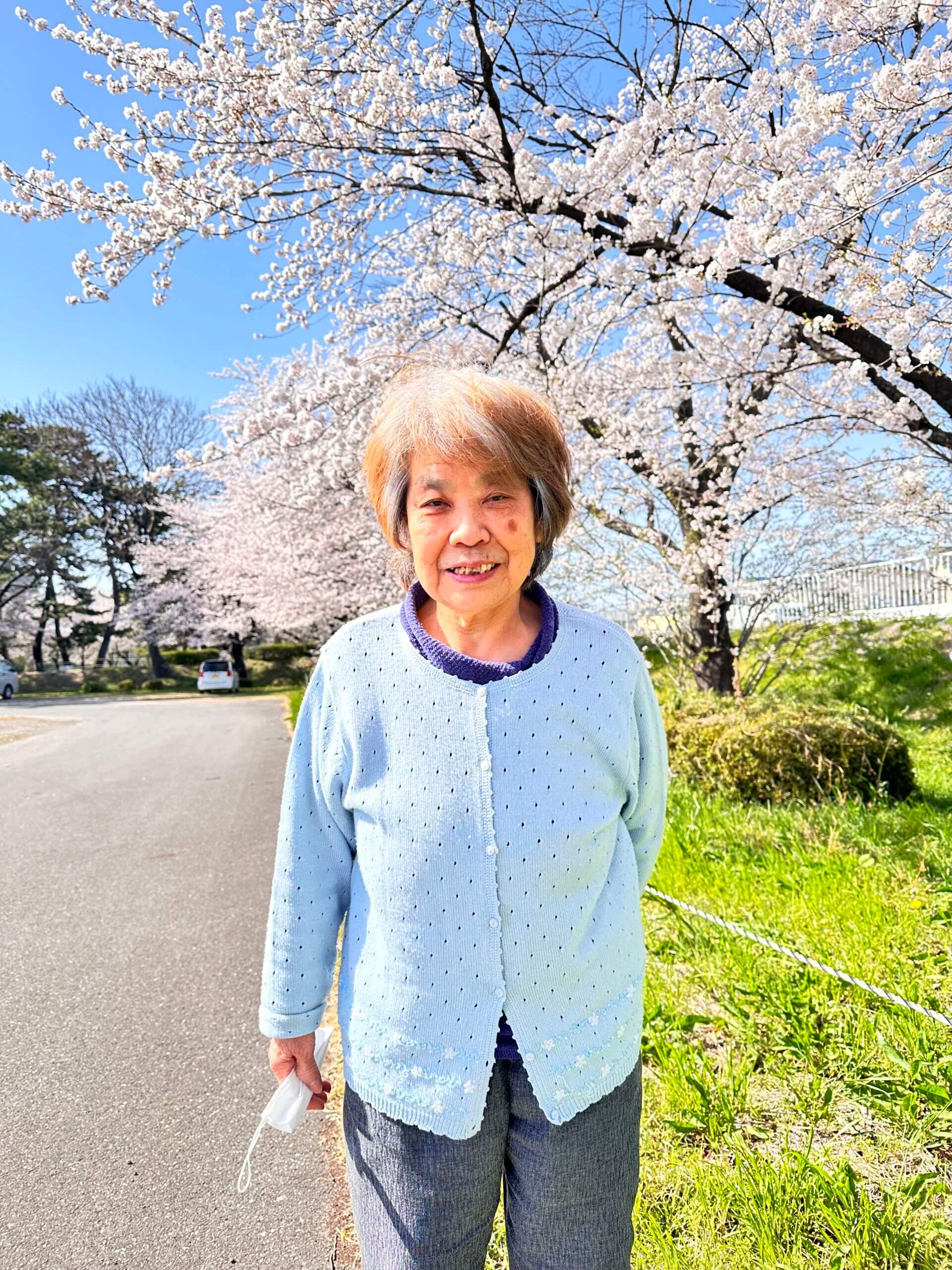 星辰の家　桃ノ木川お花見ドライブ