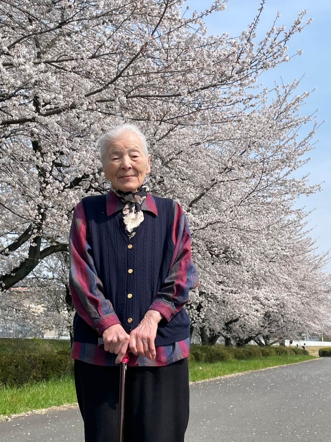 星辰の家　桃ノ木川お花見ドライブ