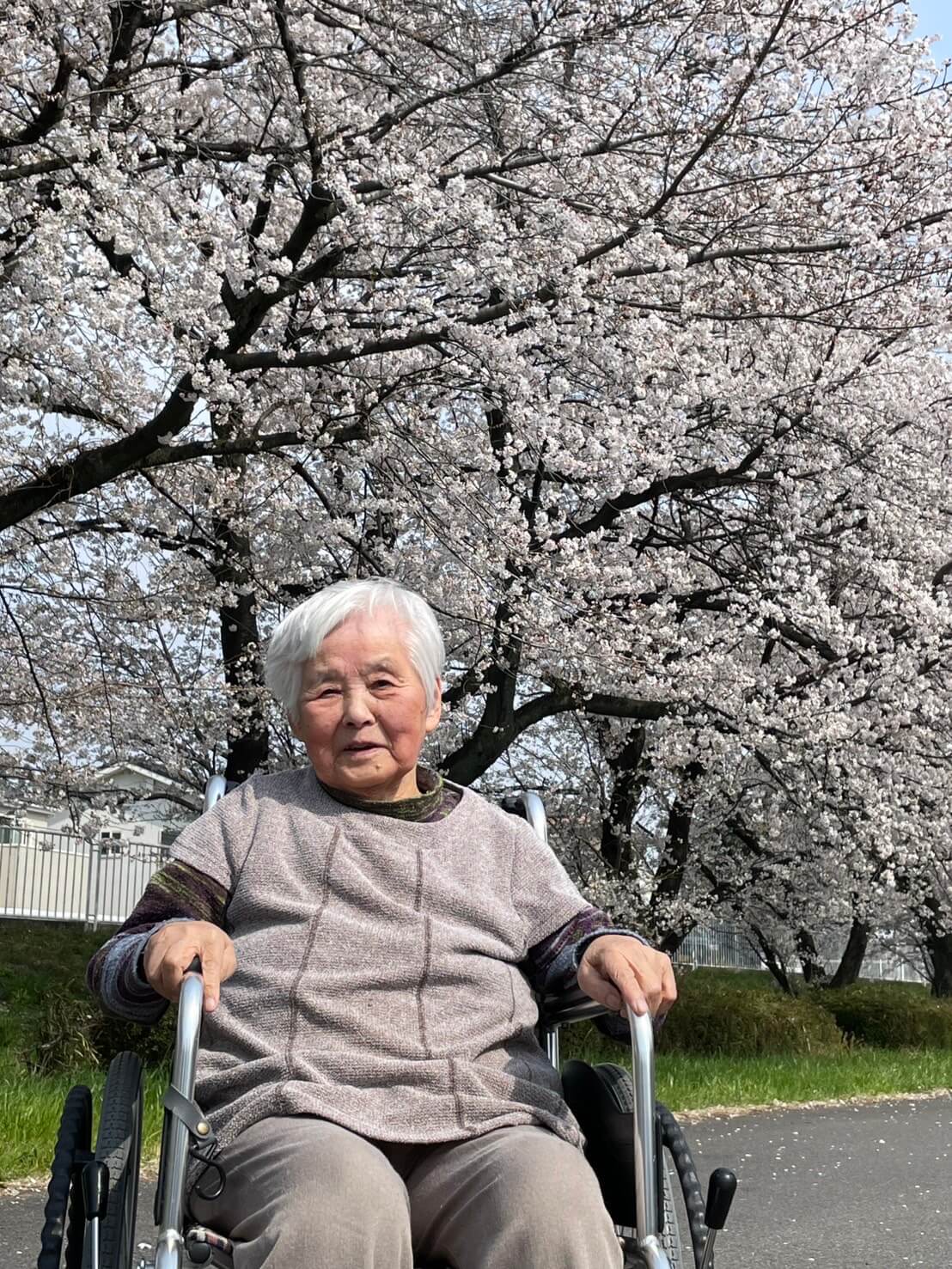 星辰の家　桃ノ木川お花見ドライブ