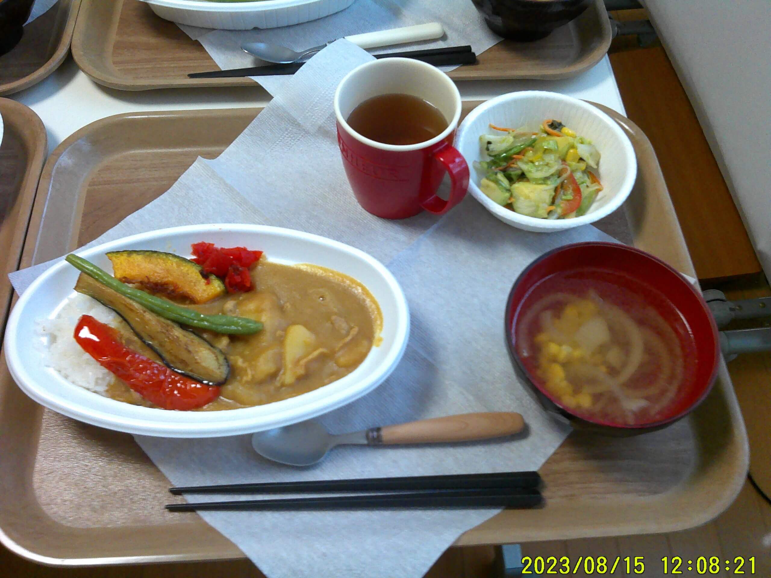 菜摘荘 夏だ！野菜だ！カレーだ！