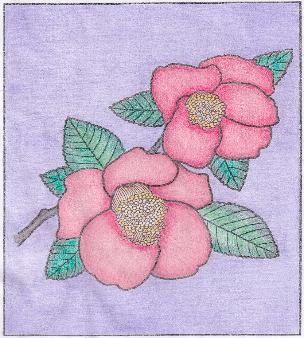 「デイサービスセンターゆめさき 」みつえ様