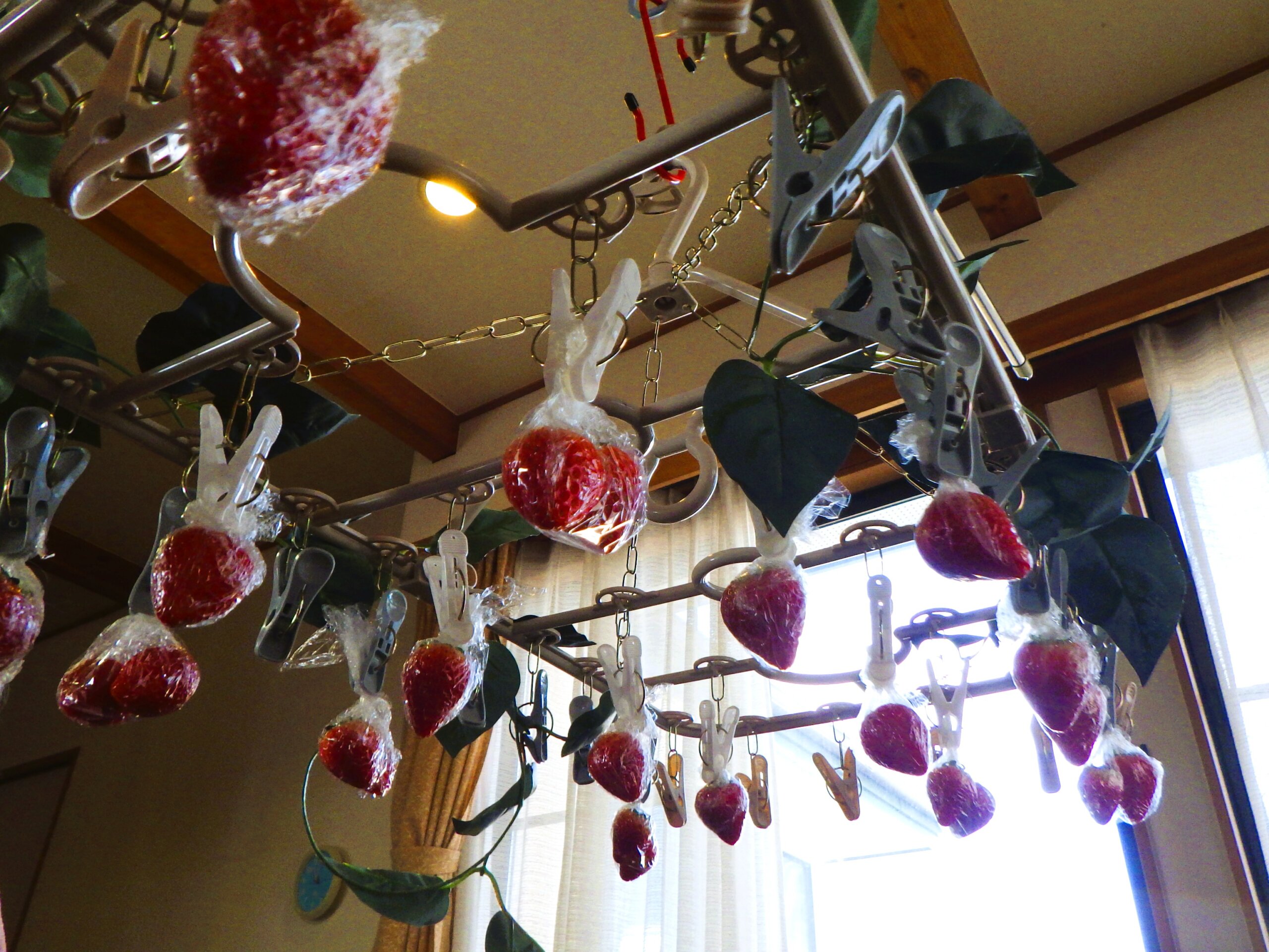 あかしあの里Ⅲ　「いちご狩り」イベント