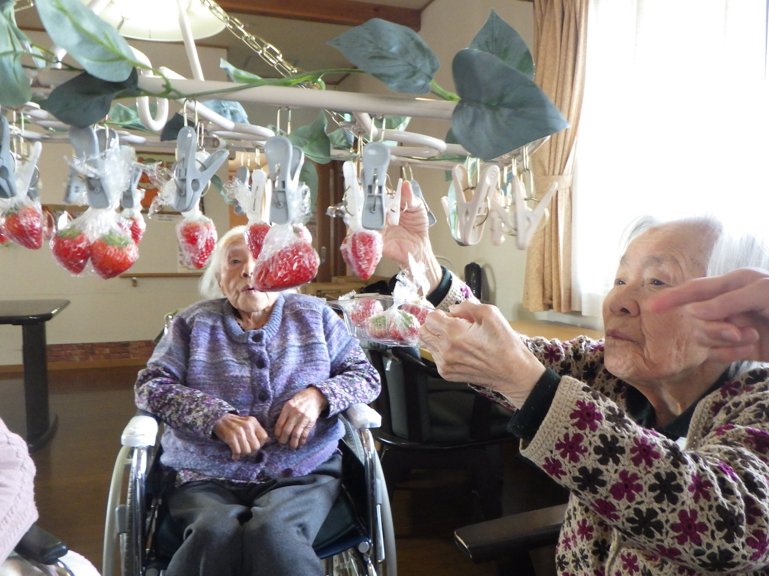 あかしあの里Ⅲ　「いちご狩り」イベント